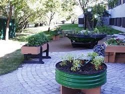 collection of raised garden beds
