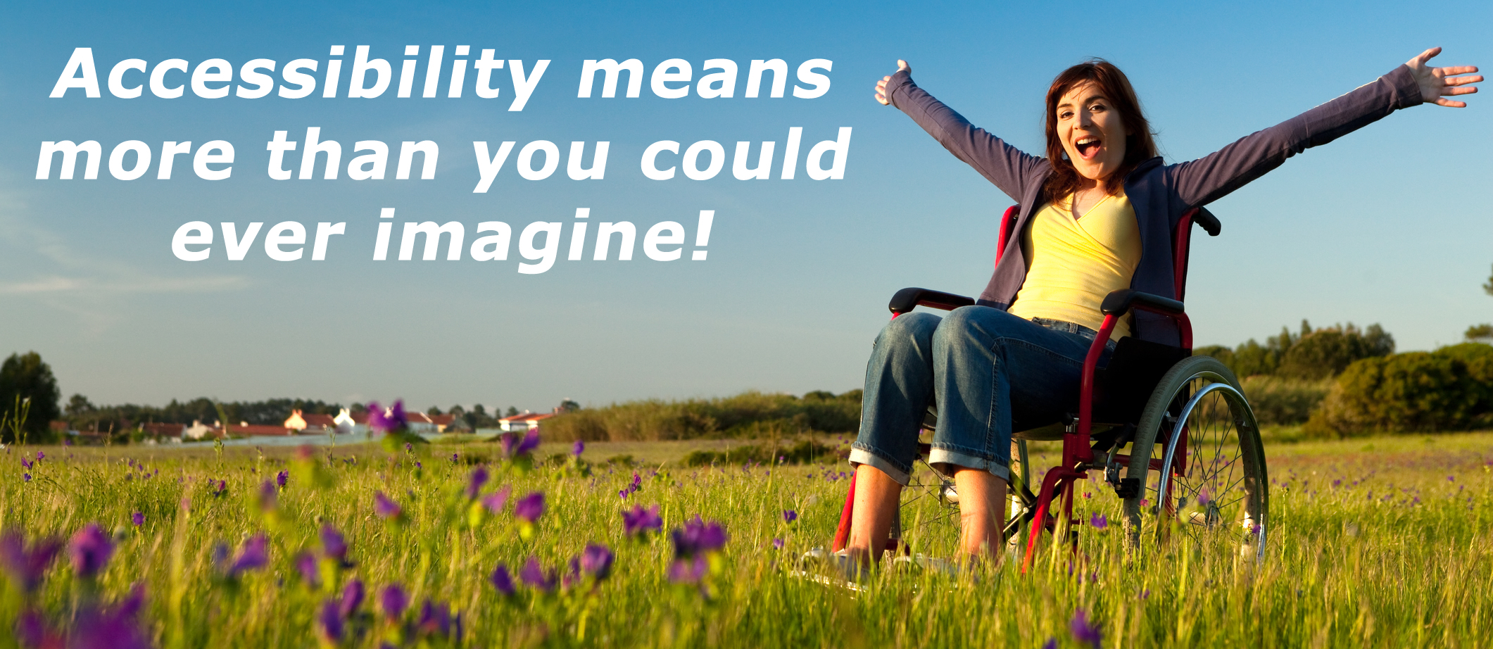 DIY Accessibility banner shows girl in wheelchair in field of flowers.