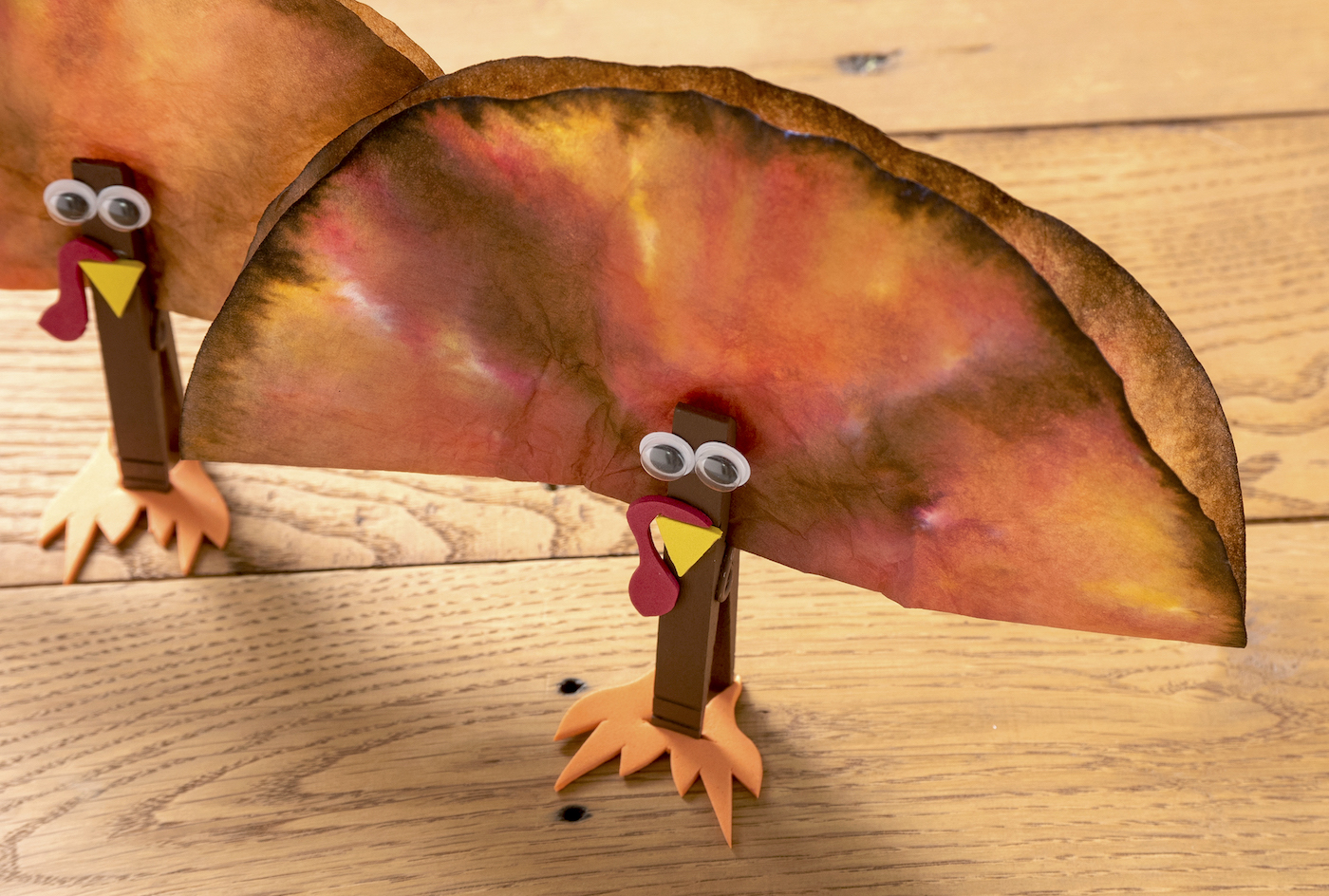 Coffee filter turkey craft