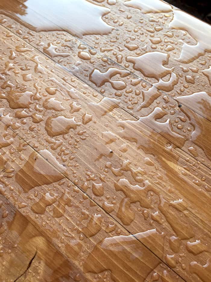 Water beading on the top of the Thompson's water seal