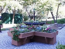 Raised flower bed is designed in the shape of an X